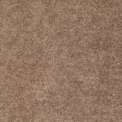 Shaw Floors Shaw Flooring Gallery Ellendale 12′ Rio Grande 00701_5273G