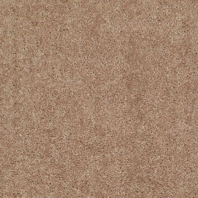 Shaw Floors Shaw Flooring Gallery Ellendale 12′ Eagles Nest 00704_5273G