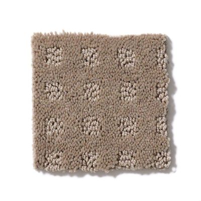 Shaw Floors Shaw Flooring Gallery Made To Be Yours Chameleon 5282G_00104