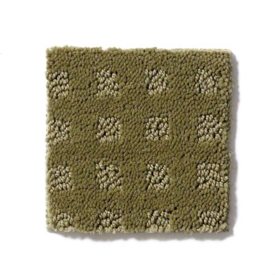 Shaw Floors Shaw Flooring Gallery Made To Be Yours Aloe 5282G_00300