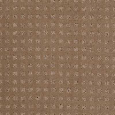 Shaw Floors Shaw Flooring Gallery Made To Be Yours Perfect Beige 00703_5282G