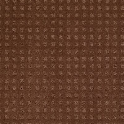 Shaw Floors Shaw Flooring Gallery Made To Be Yours Mocha Chip 00706_5282G
