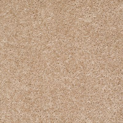 Shaw Floors Shaw Flooring Gallery Colesville 12′ Quiet Splendor 00121_5294G