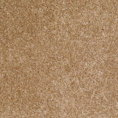 Shaw Floors Shaw Flooring Gallery Colesville 12′ Reed 00201_5294G
