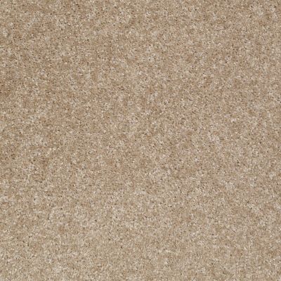 Shaw Floors Shaw Floor Studio Textured Collection Portabello 00706_52B69