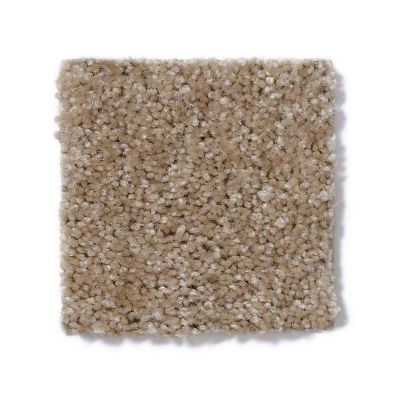Shaw Floors Instant Winner Tweed 52E28_00700