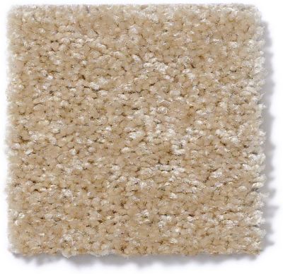 Shaw Floors Instant Winner Cashmere 52E28_00701
