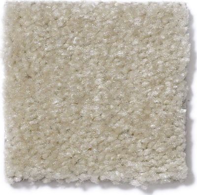 Shaw Floors This Is It Earth Beige 52E51_00118