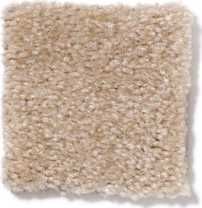 Shaw Floors This Is It Hay Field 52E51_00152