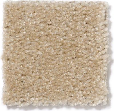 Shaw Floors This Is It Ermine Fur 52E51_00153