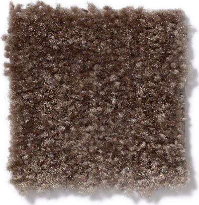 Shaw Floors This Is It Spare Brown 52E51_00704