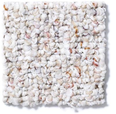 Shaw Floors Pure Waters 12 Clam Shell 52H10_00102