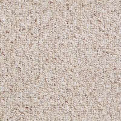Shaw Floors Pure Waters 15 Sisal Weave 00200_52H11
