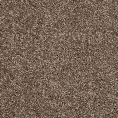 Shaw Floors SFA Sun Valley 15′ Winter Wheat 55791_52K33