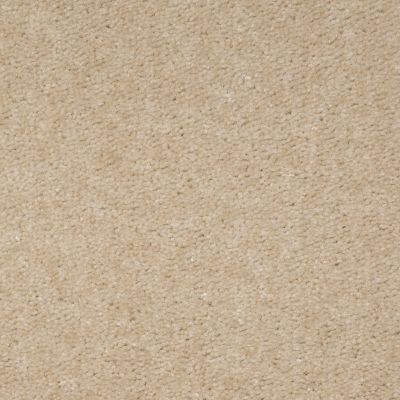 Shaw Floors This Is It Plus Bleached Straw 00130_52N08