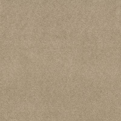 Shaw Floors Essay II 12′ Sand Dollar 00116_52N67