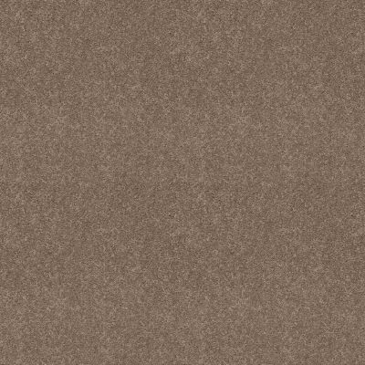 Shaw Floors SFA Hollywood Regency II Fawn 00792_52N75