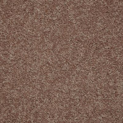 Shaw Floors Essay II 15′ Moccasin 00752_52N89