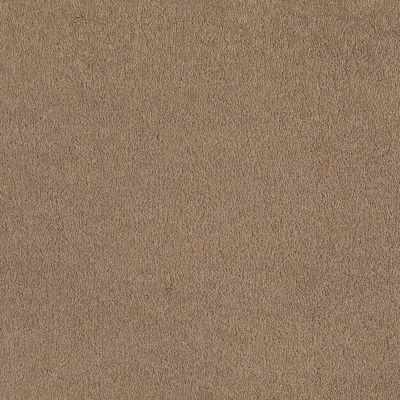 Shaw Floors Everyday Comfort (s) Sandstone 00118_52P07