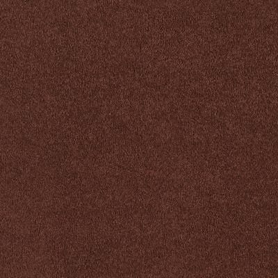 Shaw Floors Everyday Comfort (s) Magic Lantern 00601_52P07