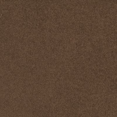 Shaw Floors Everyday Comfort (s) Dark Spice 00713_52P07