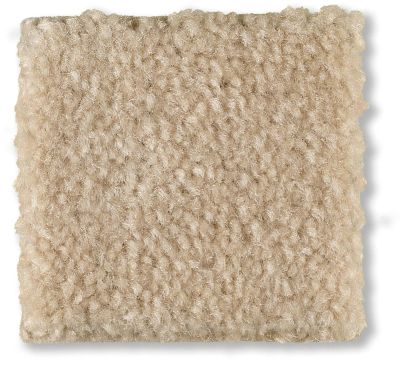 Shaw Floors Optimum Shadow 52Q59_00743