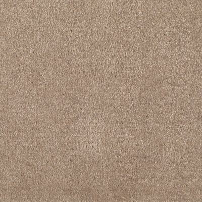 Shaw Floors Optimum Thornwood 00747_52Q59