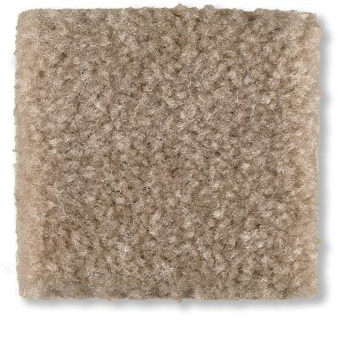 Shaw Floors Optimum Thornwood 52Q59_00747