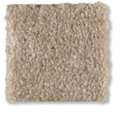 Shaw Floors Optimum Rockport 52Q59_00751