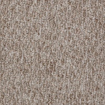 Shaw Floors Newmar 12′ Cozy Home 00700_52R24