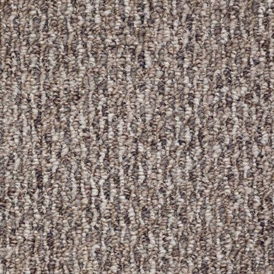 Shaw Floors Newmar 12′ Hearth 00701_52R24