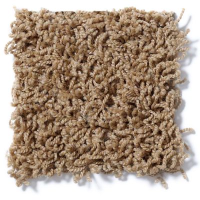 Shaw Floors Striker Dried Oak 52R36_00201