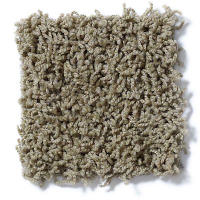Shaw Floors Striker Desert Palm 52R36_00301
