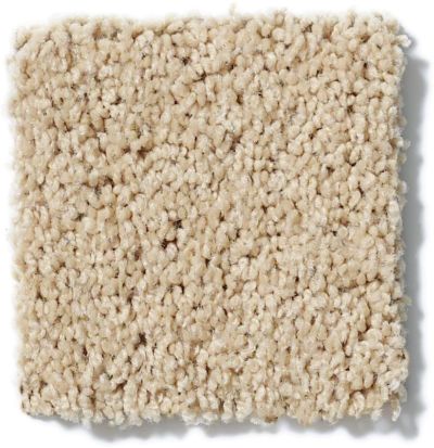 Shaw Floors Cardinal Wild Straw 52R37_00106