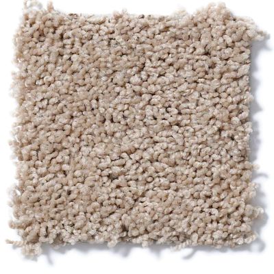 Shaw Floors Cardinal Fawn 52R37_00108