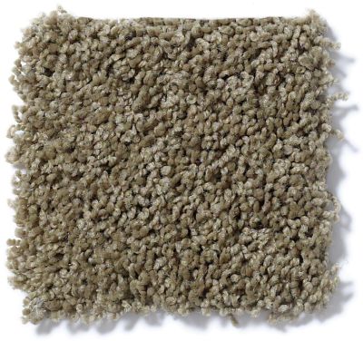 Shaw Floors Cardinal Desert Palm 52R37_00301