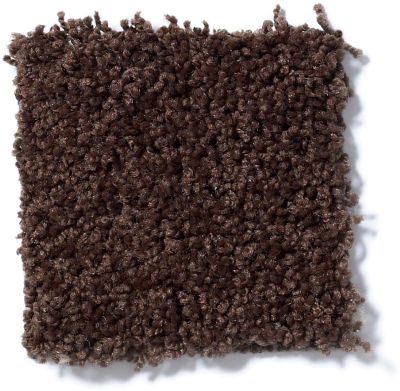 Shaw Floors Cardinal Dark Fudge 52R37_00701
