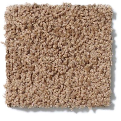 Shaw Floors Cardinal Brown Sugar 52R37_00702