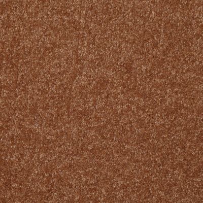Shaw Floors Foundations Passageway I 15 Soft Copper 00600_52S23