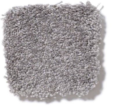 Shaw Floors Town Creek II Pewter 52S30_00501