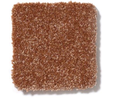 Shaw Floors SFA Passageway I Soft Copper 52S22_00600