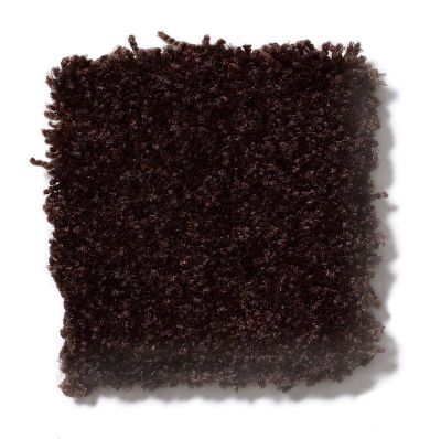 Shaw Floors SFA Passageway I Dark Roast 52S22_00709
