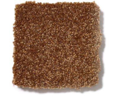 Shaw Floors SFA Passageway I Camel 52S23_00204