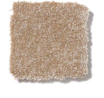 Shaw Floors SFA Passageway I Sea Grass 52S23_00700