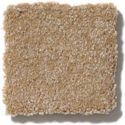 Shaw Floors SFA Passageway II Muffin 52S24_00106