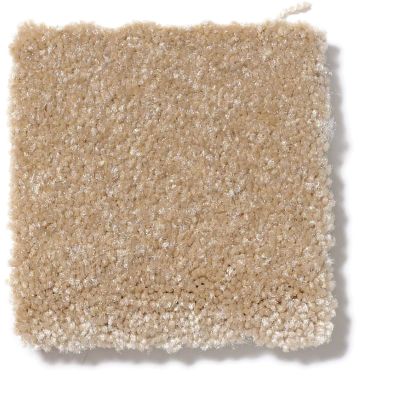 Shaw Floors SFA Passageway II Classic Buff 52S24_00108