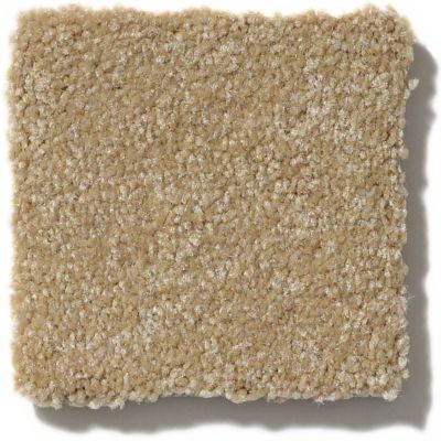 Shaw Floors SFA Passageway II Sea Grass 52S24_00700