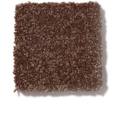 Shaw Floors SFA Passageway II Mocha Chip 52S24_00705