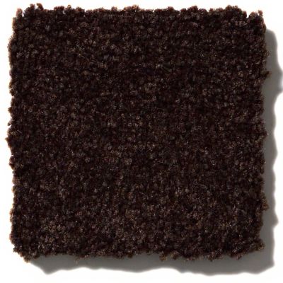 Shaw Floors SFA Passageway II Dark Roast 52S24_00709