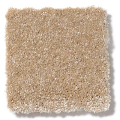Shaw Floors SFA Passageway II Classic Buff 52S25_00108